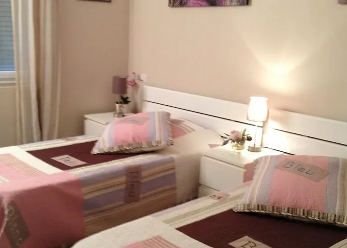 Les Locs De Marie Sainte-Maxime